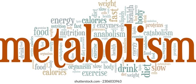 Diseño conceptual de la nube de palabras del metabolismo aislado en el fondo blanco.