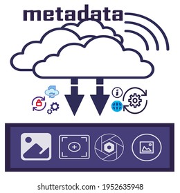 Metadata vector pictogram. Search engine symbol. Pictogram for web page, mobile app, promo.  design element. Editable stroke.no background