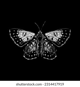 metal butterfly hand drawing vector isolated on black background.