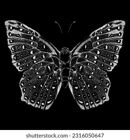 metal butterfly hand drawing vector isolated on black background.