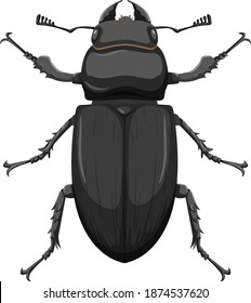 Metallic dung beetle isolated on white background illustration