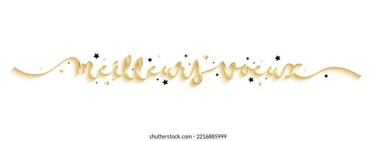 Metallic gold vector MEILLEURS VOEUX (HAPPY HOLIDAYS in French) brush calligraphy banner with stars on white background