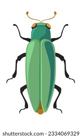 Metallic wood-boring beetles, isolated insects species and types. Bug buprestidae jewel with legs and antennae, flatheaded borers beetles. Natural biodiversity and wilderness. Vector in flat style