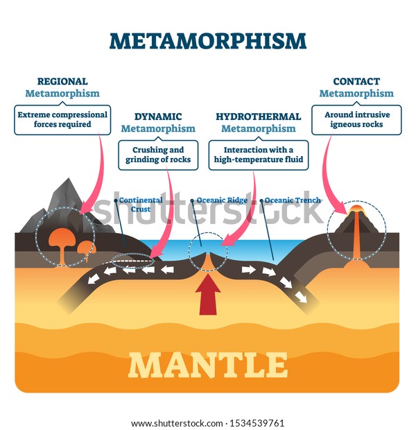 Metamorphism vector illustration. Labeled\
minerals geologic structure change process. Diagram with regional,\
dynamic, hydrothermal and contact forces. Tectonic volcano activity\
force types\
comparison