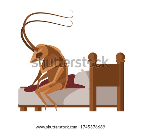 metamorphosis cockroach lying on bed