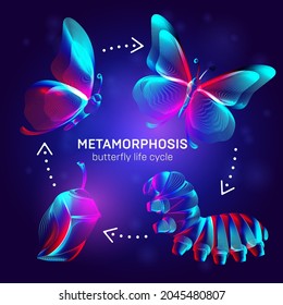 Metamorphosis concept. Butterfly life cycle banner. 3D vector illustration with abstract stereo neon silhouettes of insects - caterpillar, chrysalis and butterfly transformation process stages