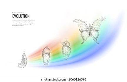 Metamorphosis of transformation or evolution. The birth of a butterfly from a caterpillar the cycle of life. Vector illustration 