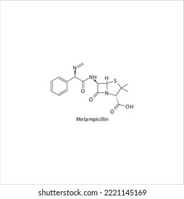 Metampicillin flat skeletal molecular structure Penicillin drug used in bacterial infection treatment. Vector illustration.