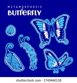 Metamporphosis of Butterfly from Egg-Caterpillar-Cocoon-to Adult Butterfly Perfect For Textile and Boutique.