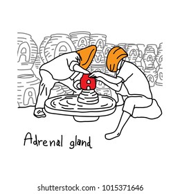 metaphor function of adrenal gland is to produce adrenaline hormone vector illustration sketch hand drawn with black lines, isolated on white background. Education Medical concept.