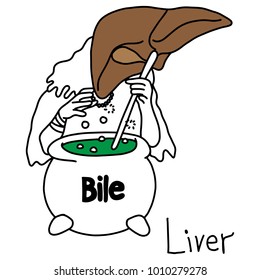 metaphor function of a liver to produce bile vector illustration sketch hand drawn with black lines, isolated on white background. Education Medical concept.
