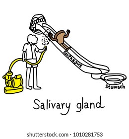 metaphor function of salivary glands to produce saliva to make food going to stomach easily vector illustration sketch hand drawn with black lines, isolated on white background. Education concept.
