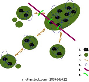 metapopulation ecology animals hedgehog wild