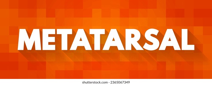 Metatarsal - group of five long bones in the foot, text concept background