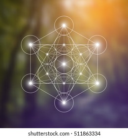 Metatron Cube and Flower of Life futuristic vector illustration in front of natural blurry background. Sacred geometry magic symbol design template.