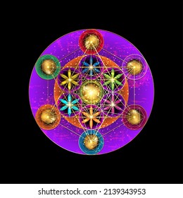 Metatrons Würfel, Blume des Lebens. Gold Heilige Geometrie. Alte Vintage Mystic Symbol platonische Feststoffe Merkabah, bunte geometrische Zeichnung, Schnittkreise Zeichen. Grafiklogo-Element Vektor einzeln auf Schwarz 