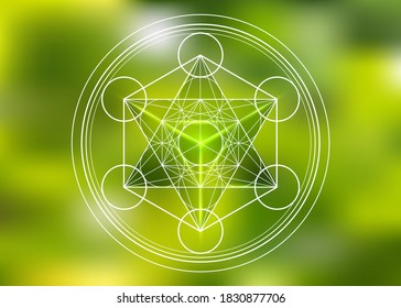 Metatrons Cube, Flower of Life, Merkaba sacred geometry spiritual new age futuristic vector illustration with interlocking circles, triangles in front of blurry green natural background