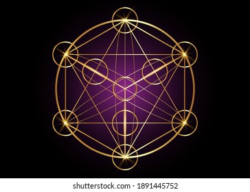 Metatrons Cube,  Flower of Life. Sacred geometry, graphic element magic hexagram. Gold Vector isolated. Mystic icon platonic solids, abstract geometric drawing, typical crop circles on black purple 