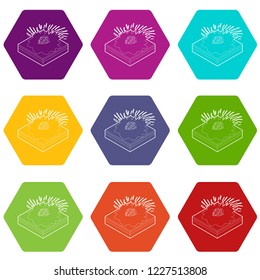 Meteor falling icons 9 set coloful isolated on white for web