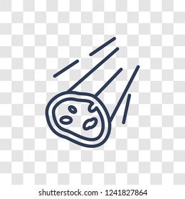Meteor icon. Trendy linear Meteor logo concept on transparent background from ASTRONOMY collection