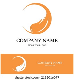 meteor logo and symbol vector icon illustration template