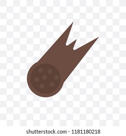 Meteor vector icon isolated on transparent background, Meteor logo concept