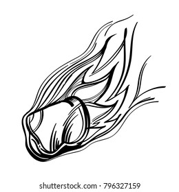 Meteorite. Comet with a burning tail. A large uncontrollable cosmic body.