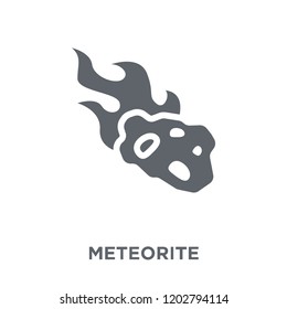 Meteorite icon. Meteorite design concept from Astronomy collection. Simple element vector illustration on white background.
