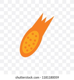 Meteorite vector icon isolated on transparent background, Meteorite logo concept