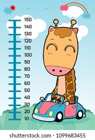 Meter wall with giraffe. Cheerful funny giraffe height. wall height meter with cute smiling african animal.vector illustration.