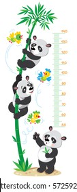 Meter wall or height chart with big high bamboo tree, funny pandas and small bright birds. Children vector illustration.
