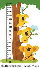 Meter wall con ilustración del vector del oso de koala