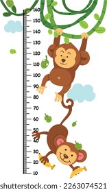 Meter wall with monkey vector illustration 