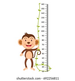 Meter wall with monkey.vector illustration.