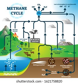 Methane cycle diagram, global pollution process vector illustration scheme. Burning fossil fuels, landfills, plant decay in wetlands, melting permafrost, digestive processes in termites and animals.