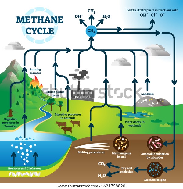 Methane Cycle Diagram Global Pollution Process Stock Vector