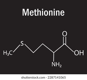 Methionine amino acid  formula and structure. Chemical molecular formula.  Study content for science students. Vector illustration.