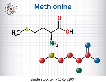 Methionine (l- methionine, Met , M) essential amino acid molecule.  Sheet of paper in a cage. Structural chemical formula and molecule model. Vector illustration  