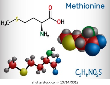 Methionine (l- methionine, Met , M) essential amino acid molecule.  Structural chemical formula and molecule model. Vector illustration 
