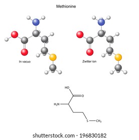 Methionine (Met) - chemical structural formula and models, amino acid, in vacuo, zwitterion, 2D and 3D illustration, balls and sticks, isolated on white background, vector, eps8