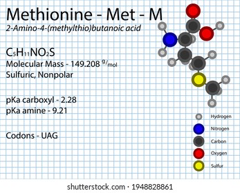 Methionine - Met - M - Amino Acid molecular formula, chemical structure, pKa, pKb, codons, mass. 2D Ball and stick model on school paper sheet background.
