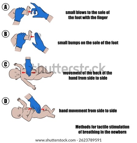 methods for tactile stimulation of breathing in the newborn.