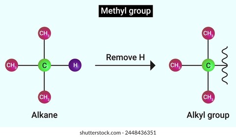Methyl group: Removal of H atom from alkane results in an alkyl group
