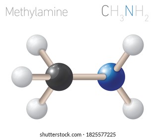 Methylamine CH3NH2 Structural Chemical Formula and Molecule Model. Chemistry Education Vector Illustration
