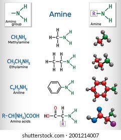 Methylamine, ethylamine, aniline, amino acids molecules. Amines contain a functional amino group –NH2. Vector illustration