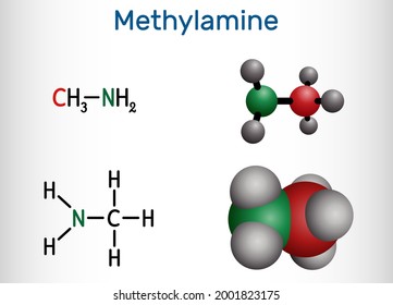 Methylamine molecule. It is simplest primary amine. Structural chemical formula and molecule model. Vector illustration