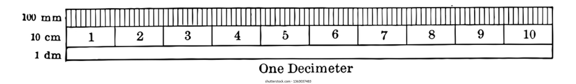 A metric ruler is used to measure centimeter and millimeters, vintage line drawing or engraving illustration.