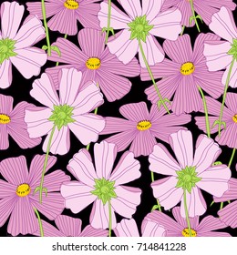mexican aster floral pattern perfect for background, wallpaper, wedding invitation design, wrap paper