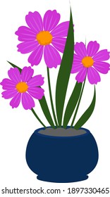 Mexican aster, illustration, vector on a white background.