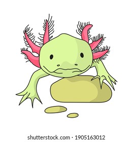 Mexican axolotl isolated on white background. Mexico country stock symbol. Vector illustration